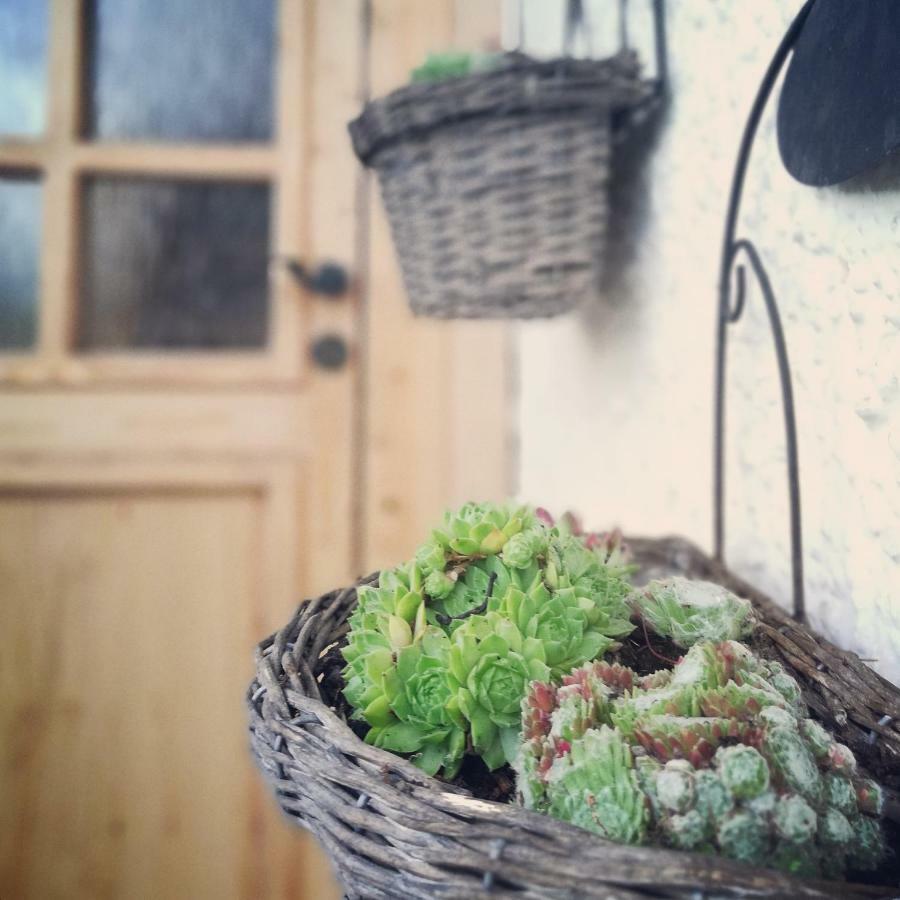 Ferienhaus In Der Schlipfing Mit Garten Altmünster 외부 사진