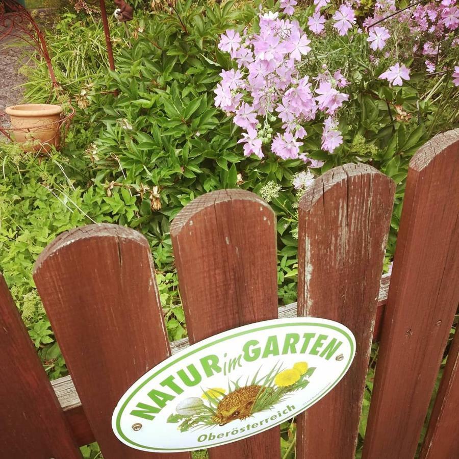 Ferienhaus In Der Schlipfing Mit Garten Altmünster 외부 사진